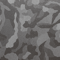 Shadow Black Carbon